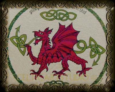 Red Dragon Tshirt Styles Celtic Art Studio Official Site Of Welsh Artist Jen Delyth