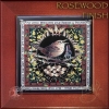 Celtic Wren  - Rosewood Framed Tile by Jen Delyth
