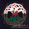 dragon roots - jen delyth vintage heather women's Tshirt